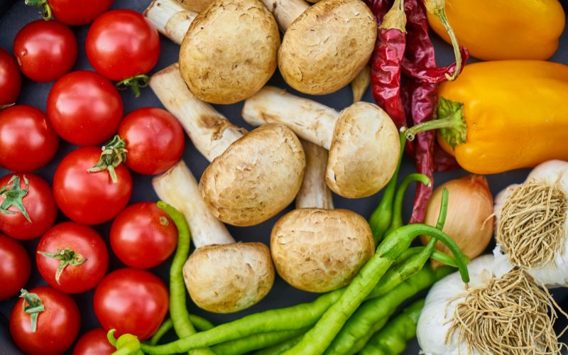 United States Plant-Based Food Market Size, Growth, Report 2032