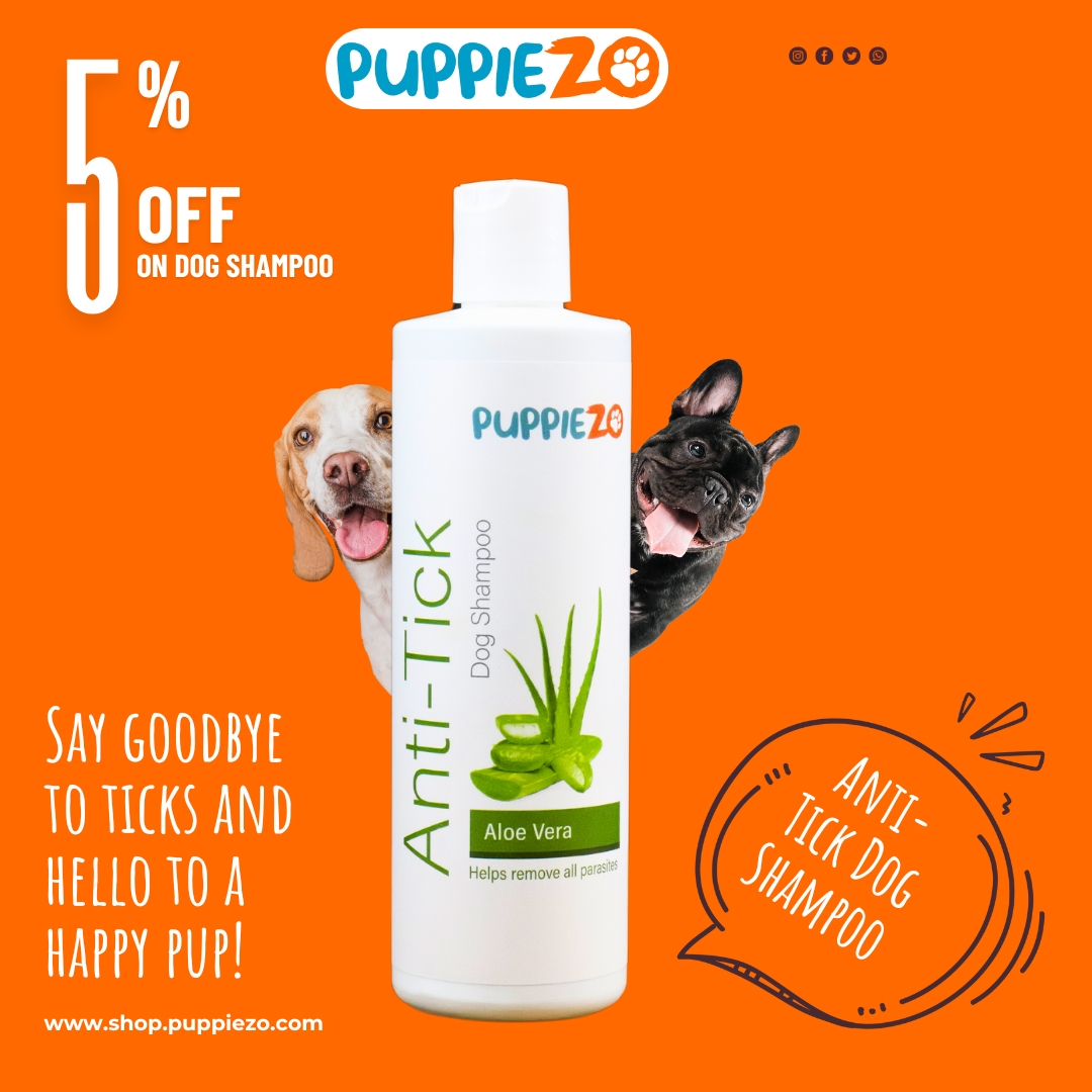 Anti-Tick Dog Shampoo: Protecting Your Furry Friend from Ticks and Tick-Borne Diseases