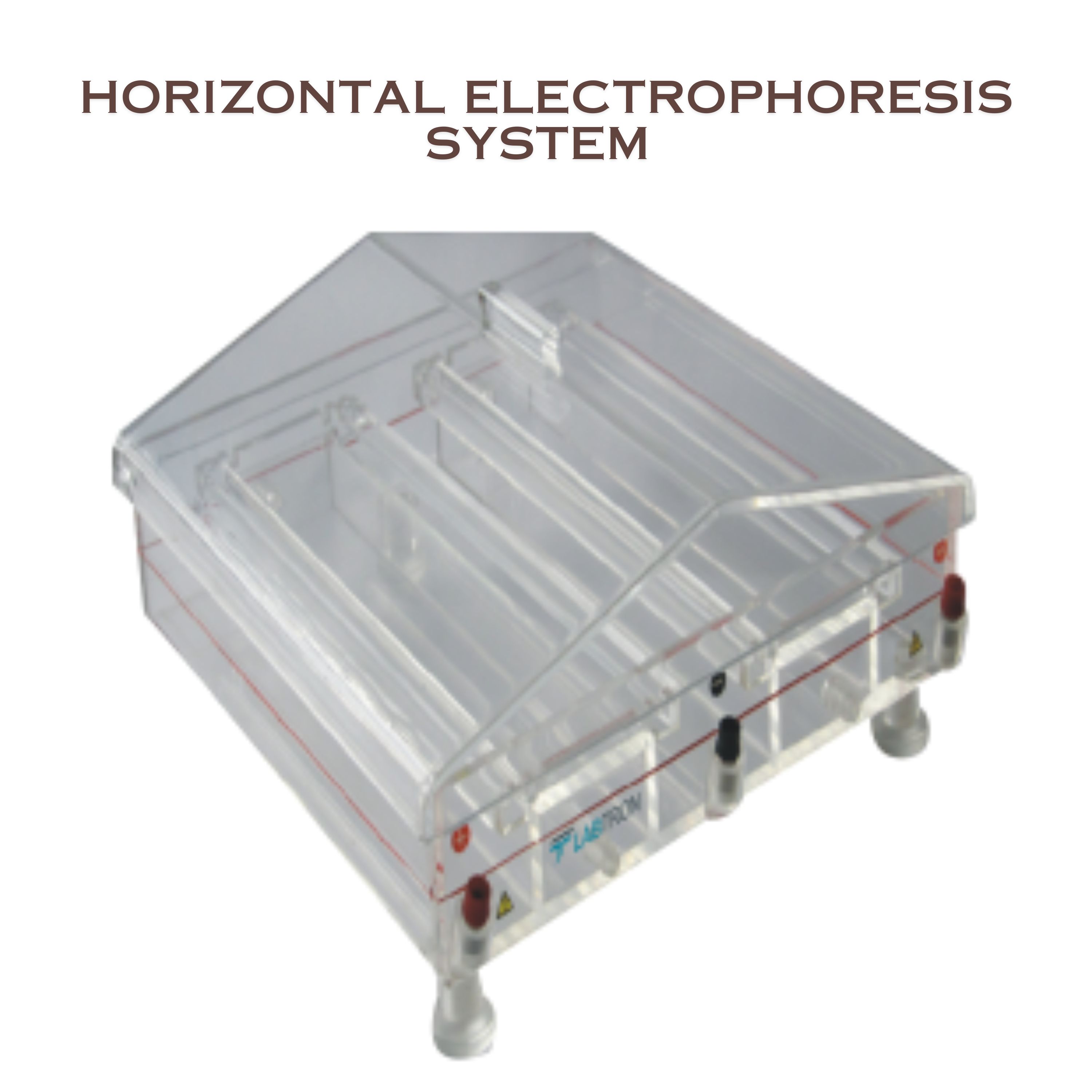 Horizontal Electrophoresis System
