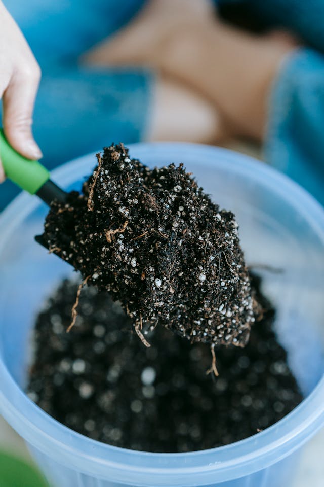 Global Liquid Potassium Fertilizers Market Report 2024: Market Size, CAGR, Lucrative Segments And Top Regions
