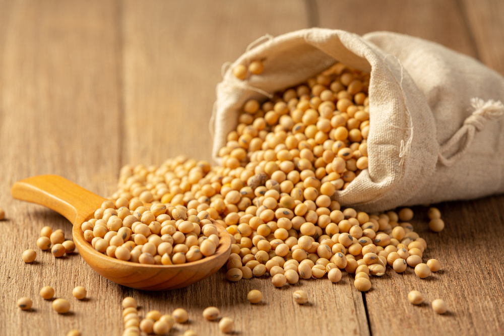 Plant-Based-Meat Market Competitive Landscape 2024-2033 – Major Players and Strategies