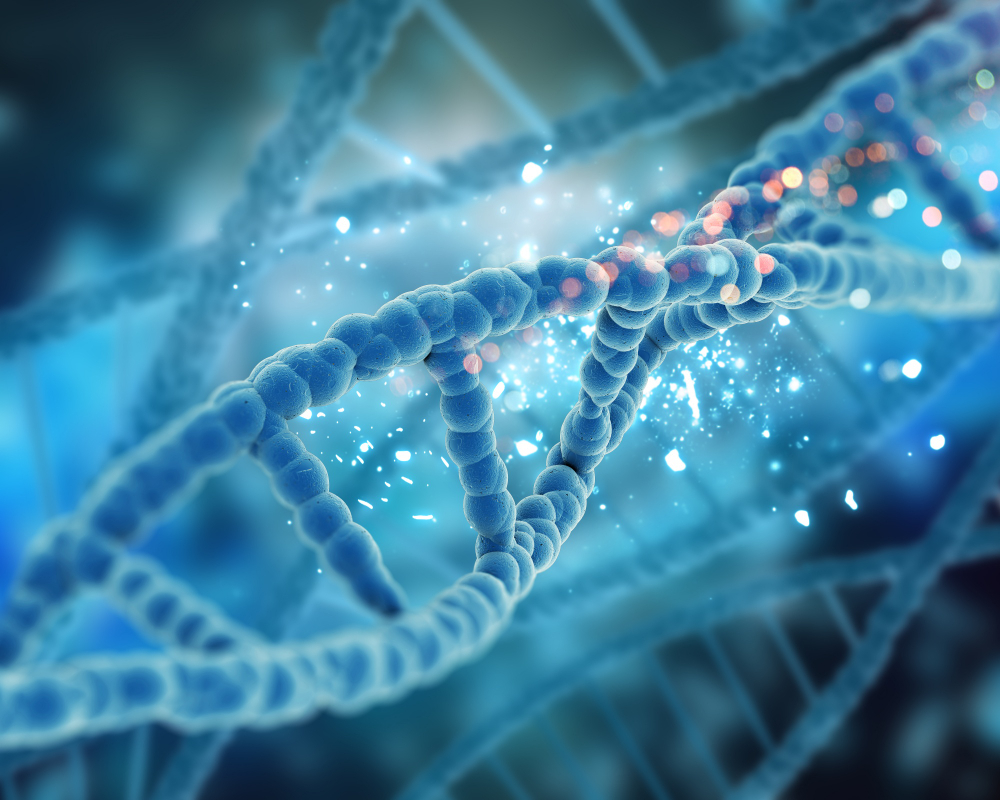 Global Optical Genome Mapping Market Overview 2024: Size, Growth Rate, and Segments