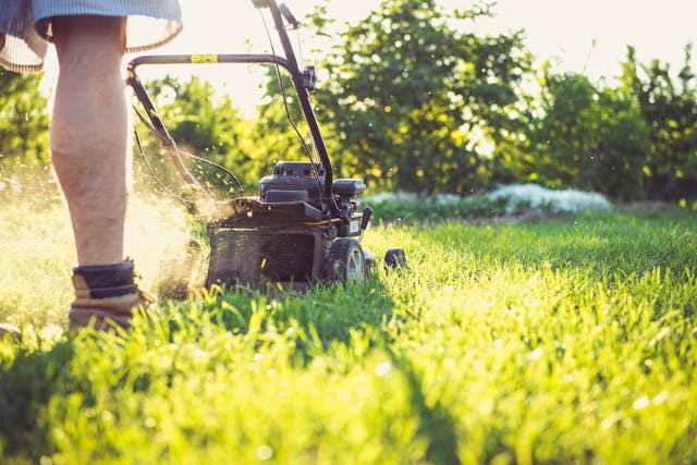 obotic Lawn Mower Market Report 2024: Market Size, CAGR, Lucrative Segments