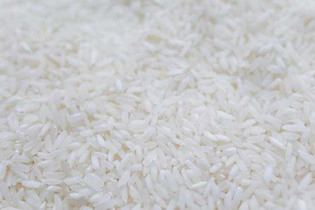Global Rice Polisher Market Report 2024: Market Size, CAGR, Lucrative Segments And Top Regions