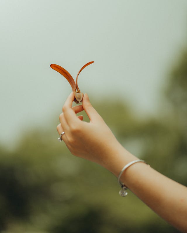 Seed Treatment Market Report 2024: Market Size, CAGR, Lucrative Segments And Top Regions