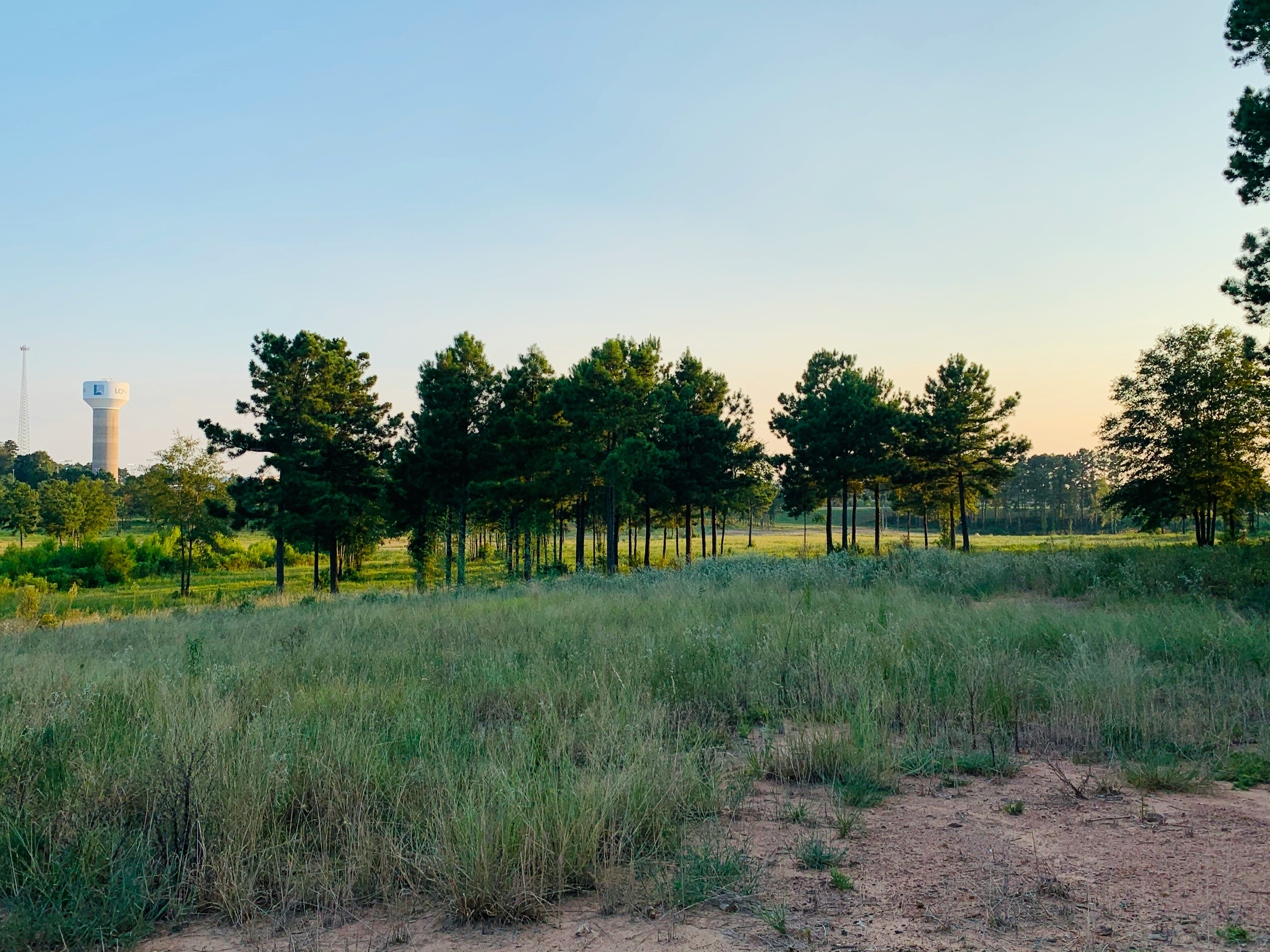 Exploring the Excitement: Land Auctions in Texas