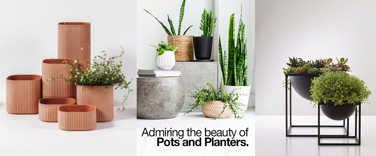 Top Planters Pots Dubai, UAE | Best Living wall planters in UAE