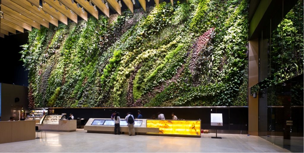 Best Moss wall installation Dubai | Moss Walls in UAE, Dubai