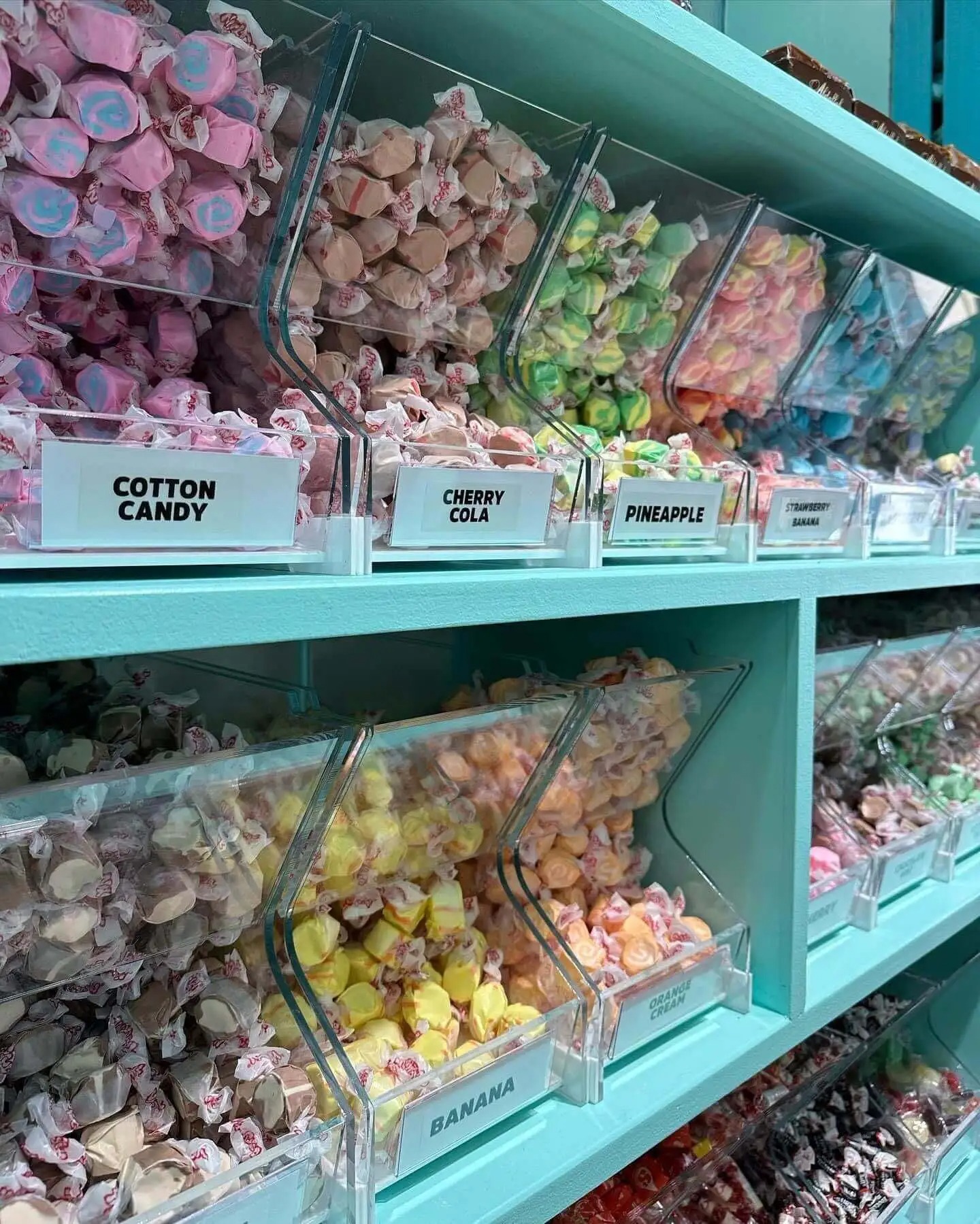 Exploring Sweet Opportunities with Pecan Jacks Franchise: Ice Cream and Candy Store Ventures