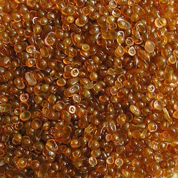 Bone Glue Market Primed for Growth with Advancements in Tissue Adhesives