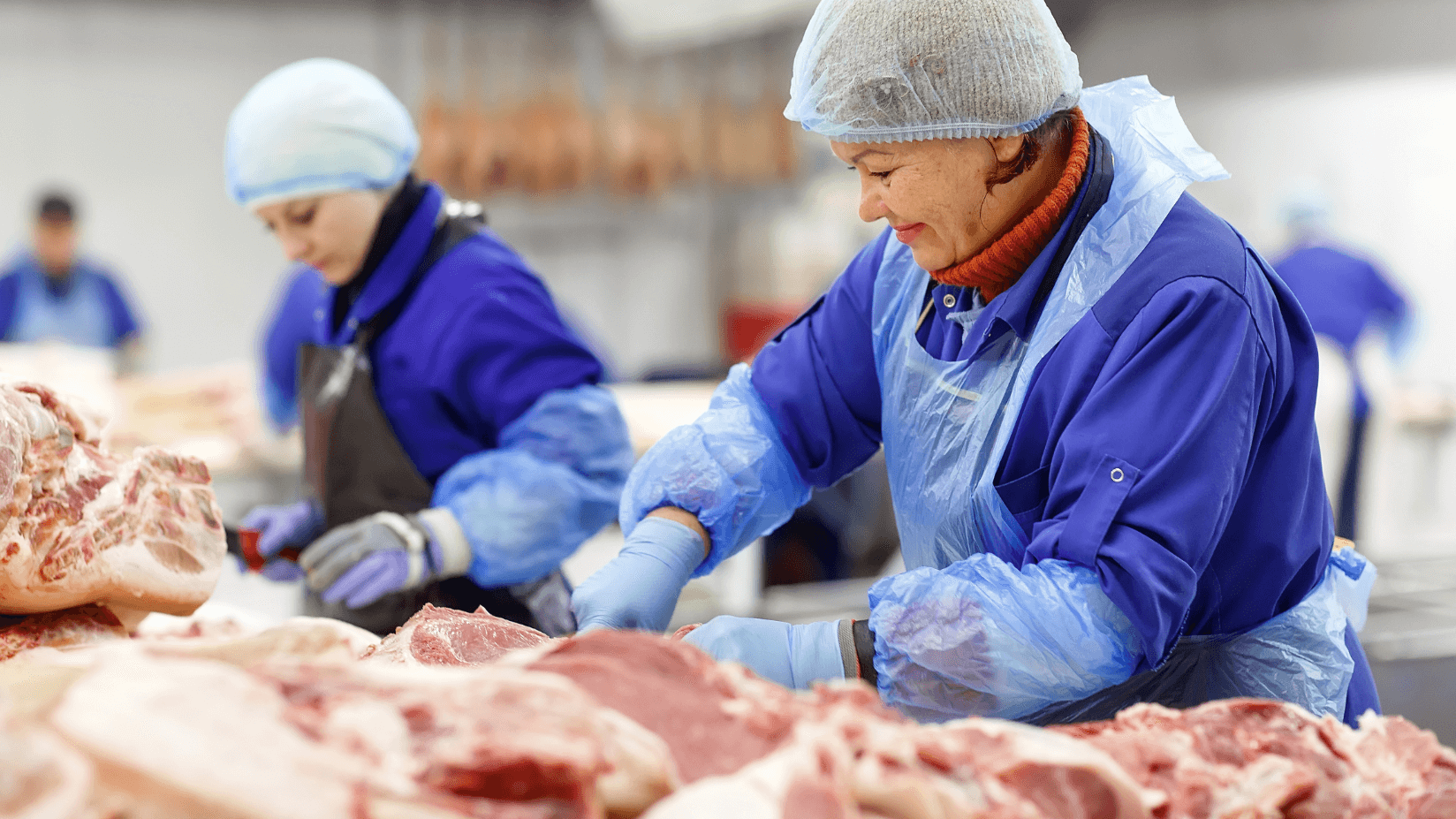 Japan Analytical Standards Analytical Standards Market: Size, Future, Growth, Trends Outlook 2032