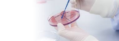 Global Efficacy Testing Market , Opportunities and Forecast, 2017-2031F
