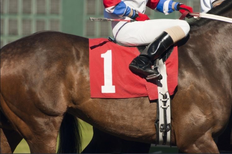 Smart Handicapping: Insights on Remington Park Race Today and Saratoga Picks