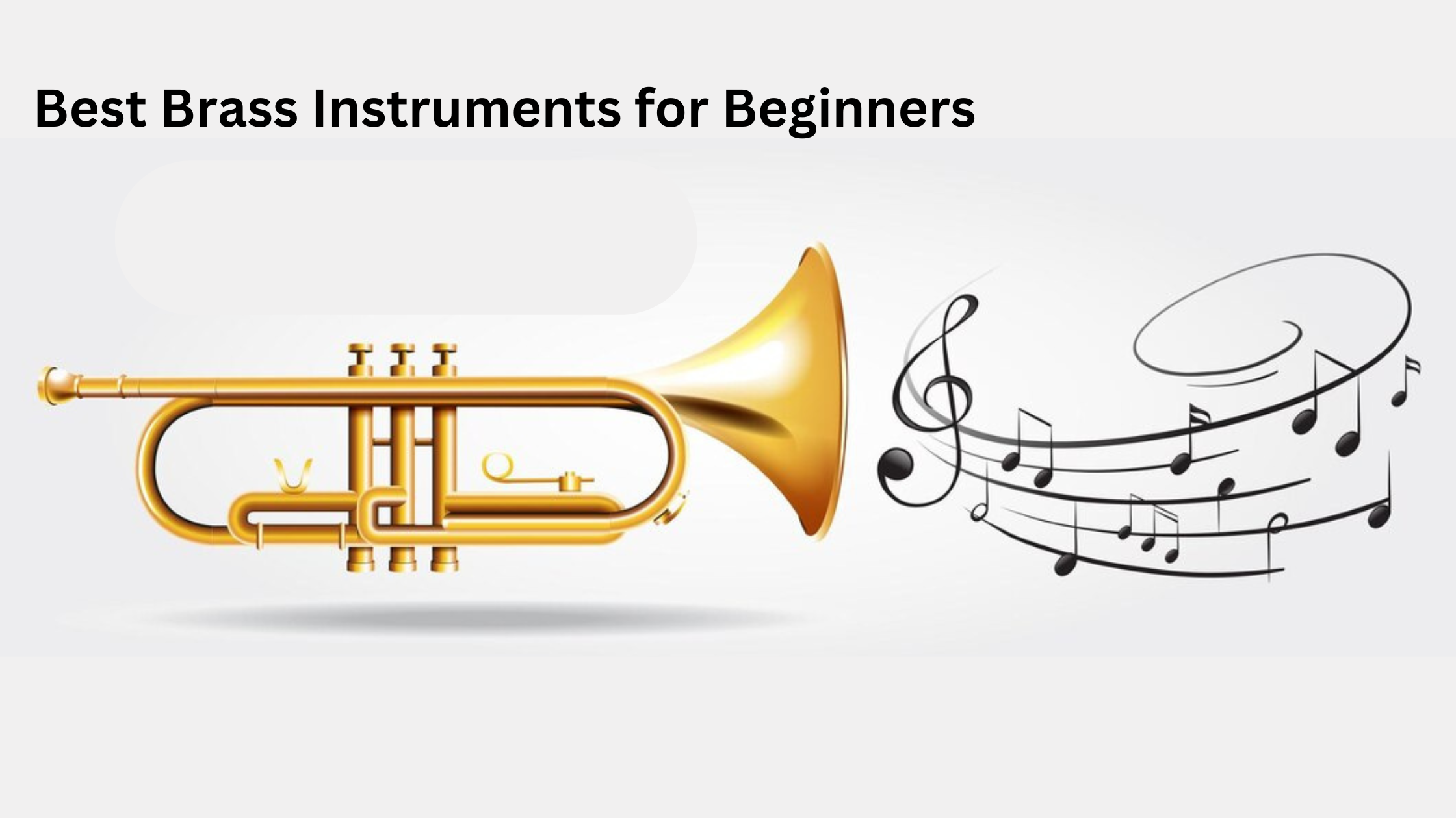 Top 5 Best Brass Instruments for Beginners in 2025 