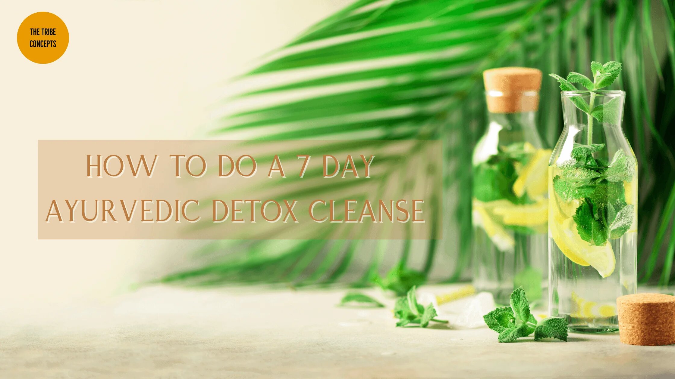 HOW TO DO A 7 DAY AYURVEDIC DETOX CLEANSE