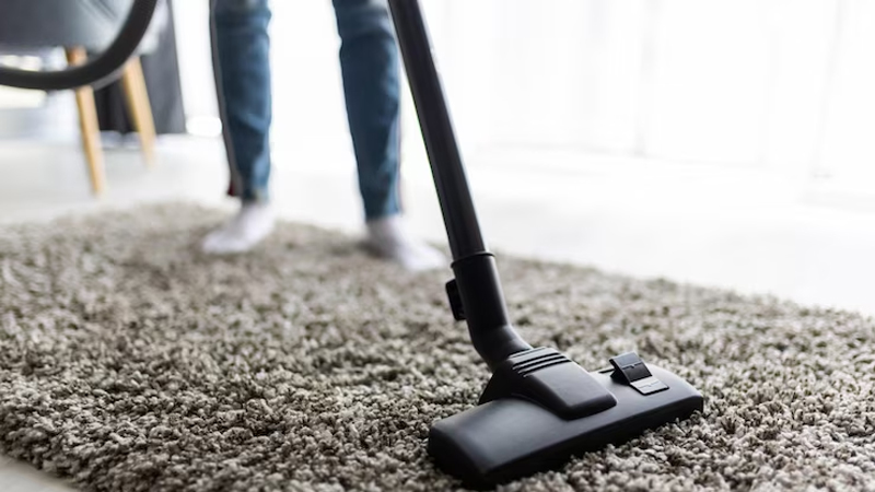 Why Steam Cleaning Is Best For Your Carpet?