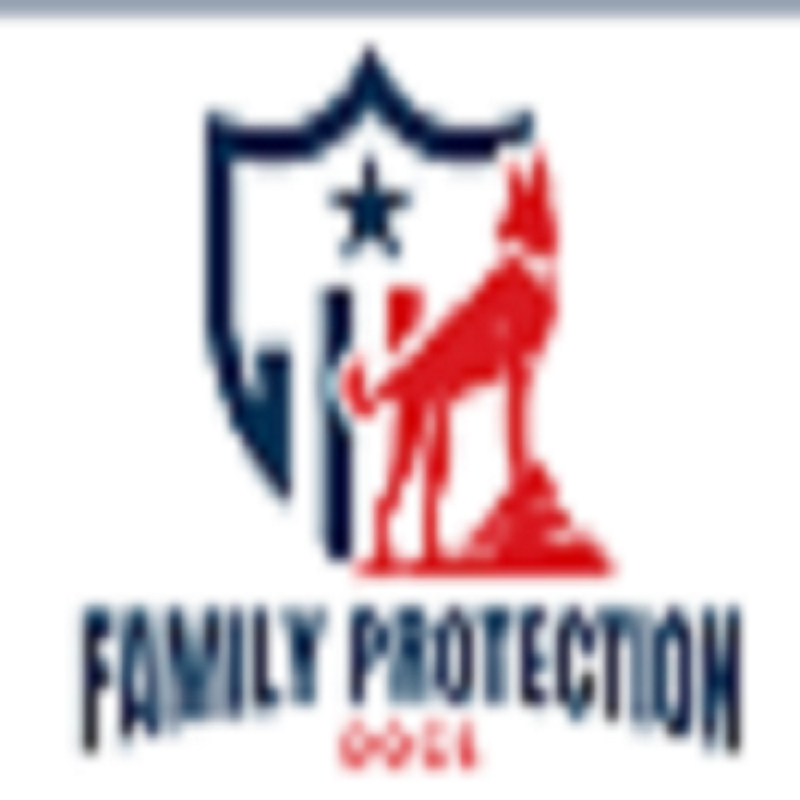 Essential Tips for Buying and Training a Dog