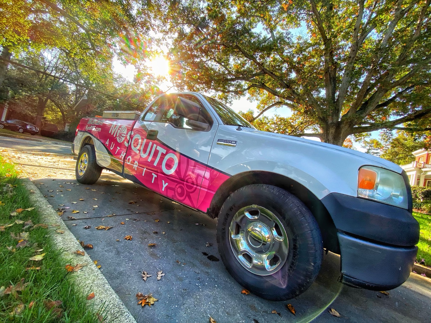 The Science Behind Professional Mosquito Control Services