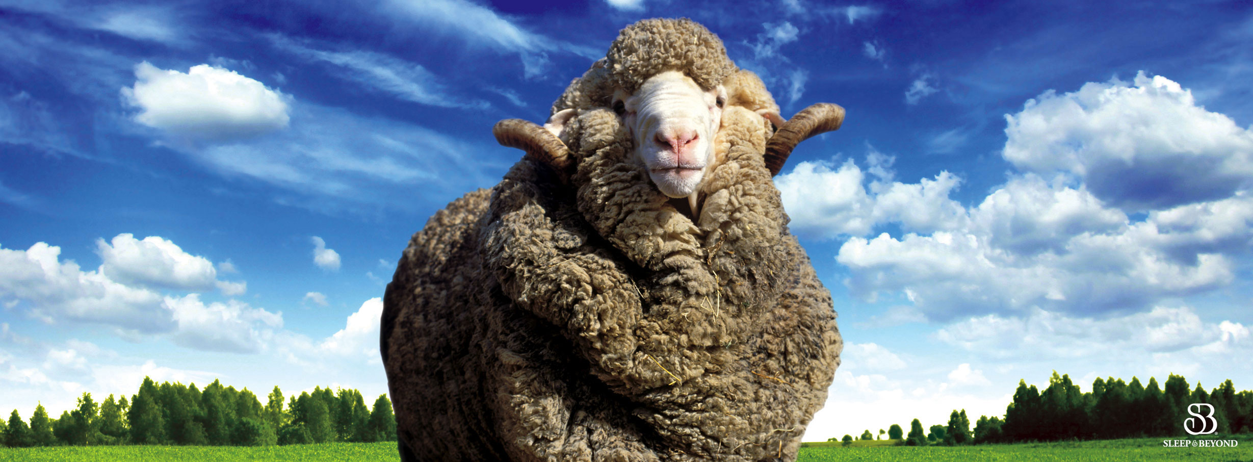Why should you Buy Organic Bedding