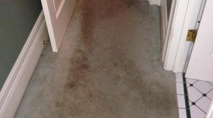 How To Deal With Water Damage Carpet During Flooding