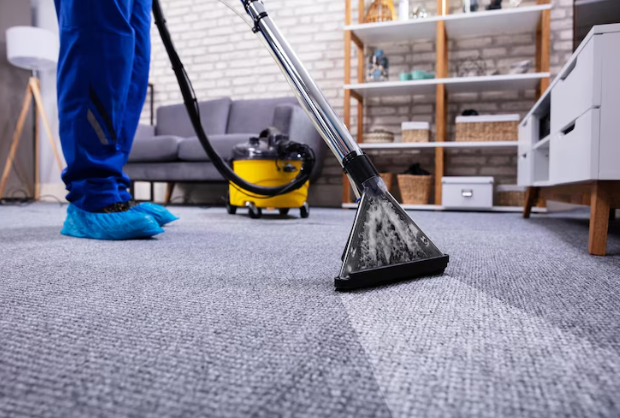 Do You Need to Vacuum Before Professional Carpet Cleaning?