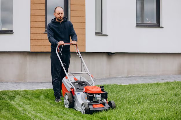 How Often Should You Mow Your Lawn?