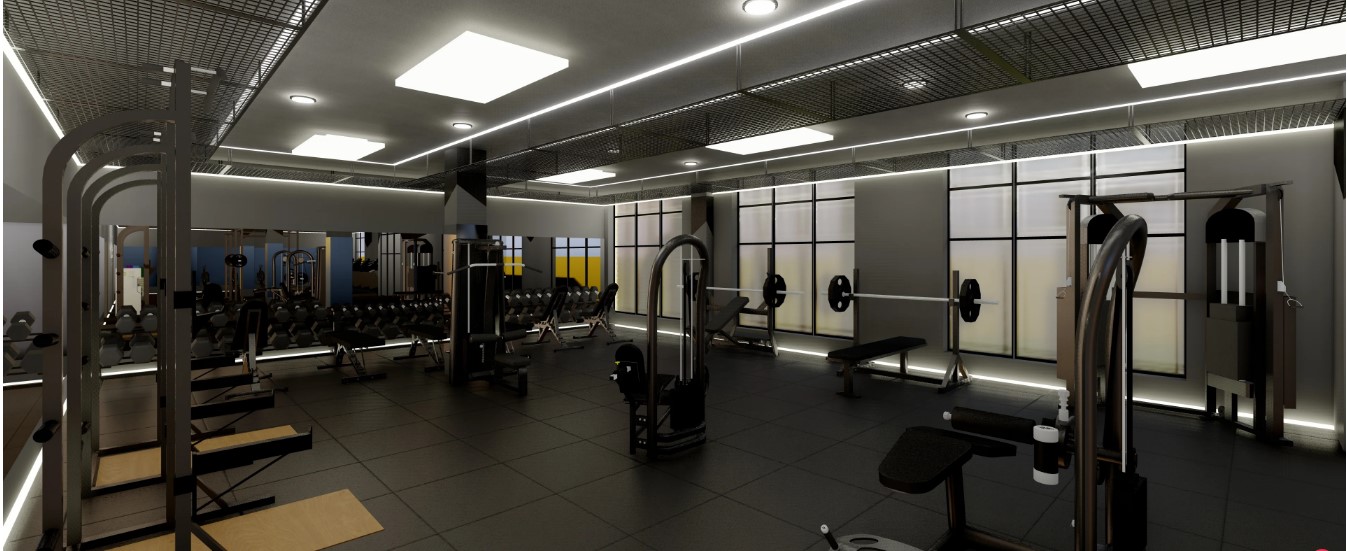 The Gym Fitness Equipment Industry Trends and Updates (As of Now)