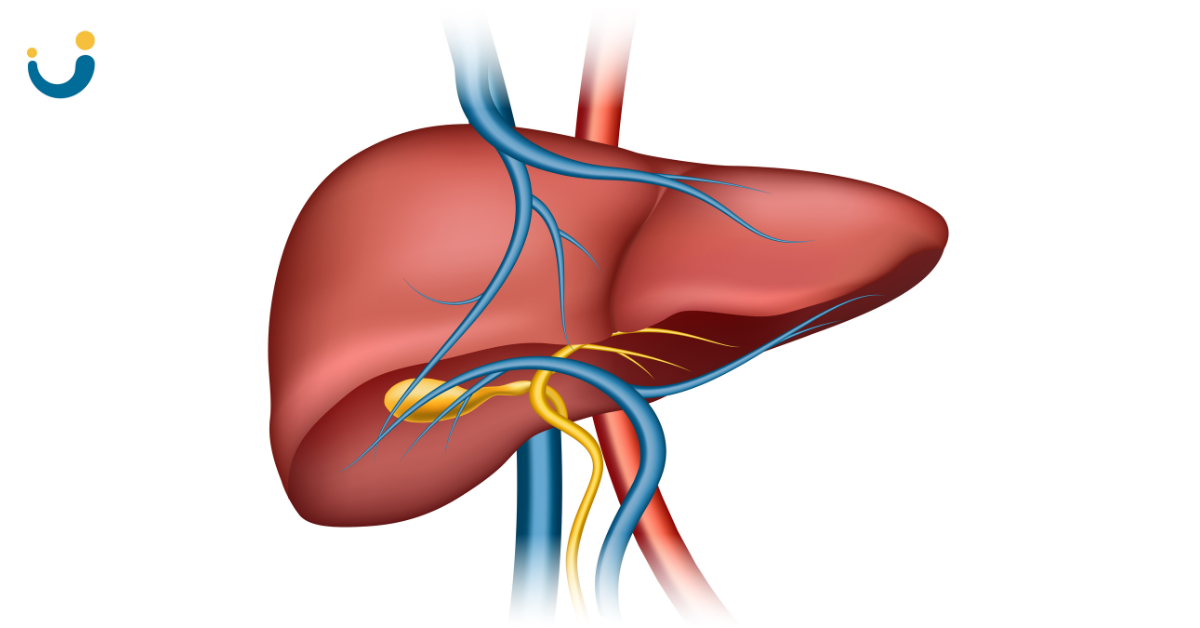 What Is Advanced Liver Disease and How Is It Treated?