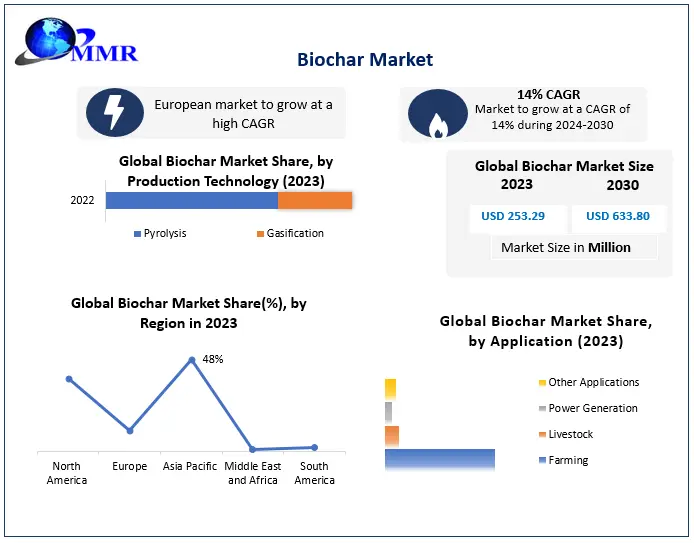 Biochar Market Key Trends, Opportunities, Revenue Analysis, Sales Revenue To 2030
