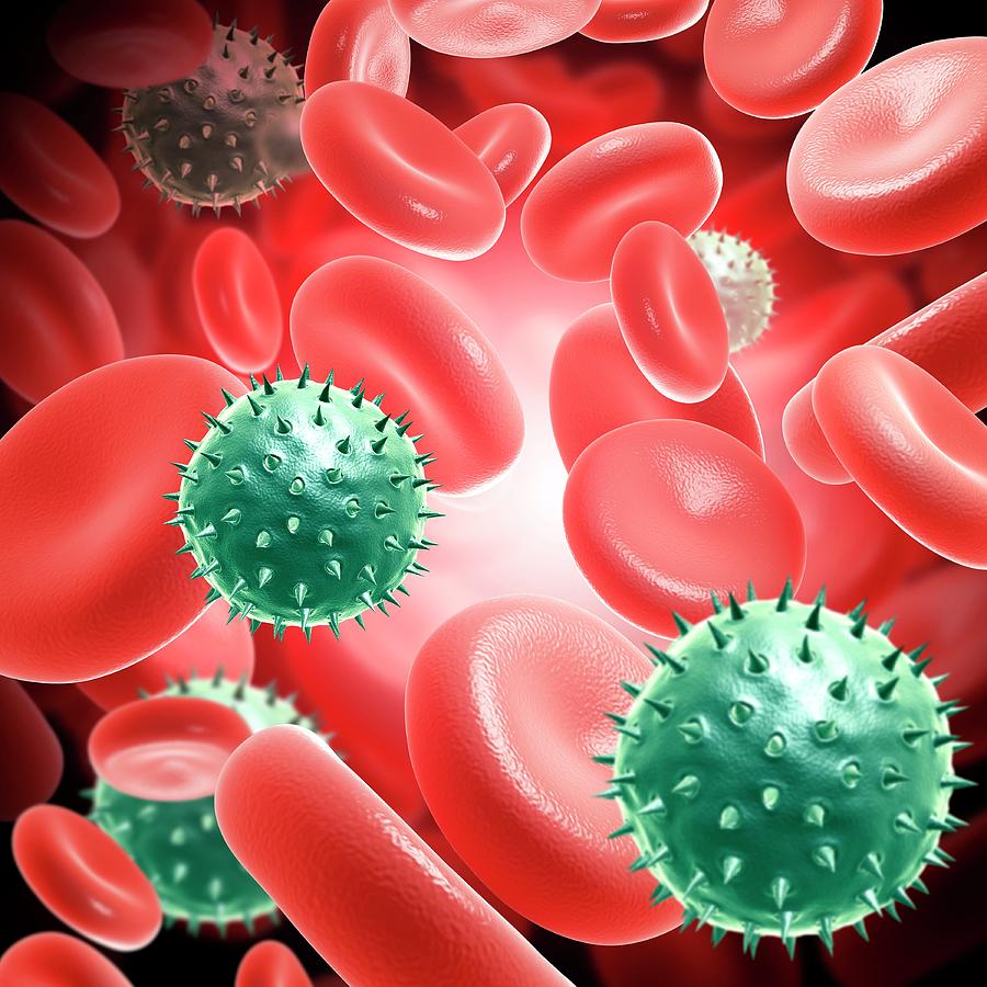 Viral Clearance Market Is Anticipated To Witness High Growth Owing To Stringent Regulations For Biologics Development