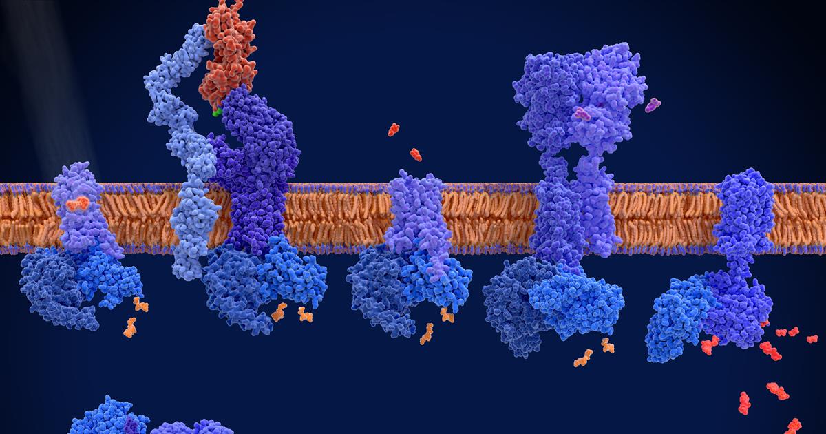 New Horizons In DNA-Based Drug Discovery: Global DNA Encoded Libraries