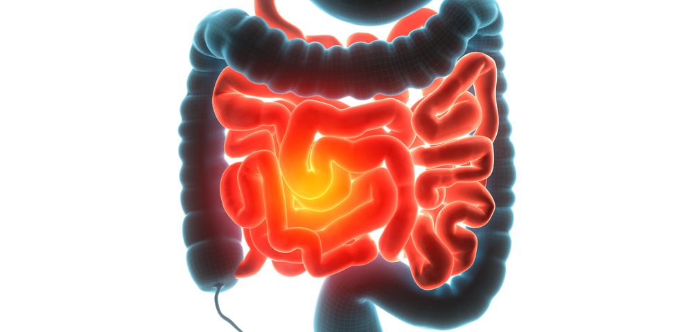 Malabsorption Syndrome Market Faces High Growth Due To Rising Prevalence Of Digestive Disorders