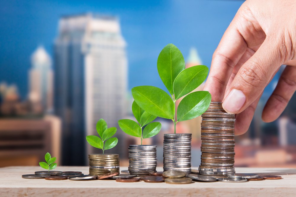 Kenya Carbon Credit: Kenya Explores Carbon Credits To Drive Sustainable Development 