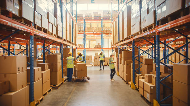 Streamlining Retail Operations: Inventory Control, Transportation Strategy, and Demand Forecastpection