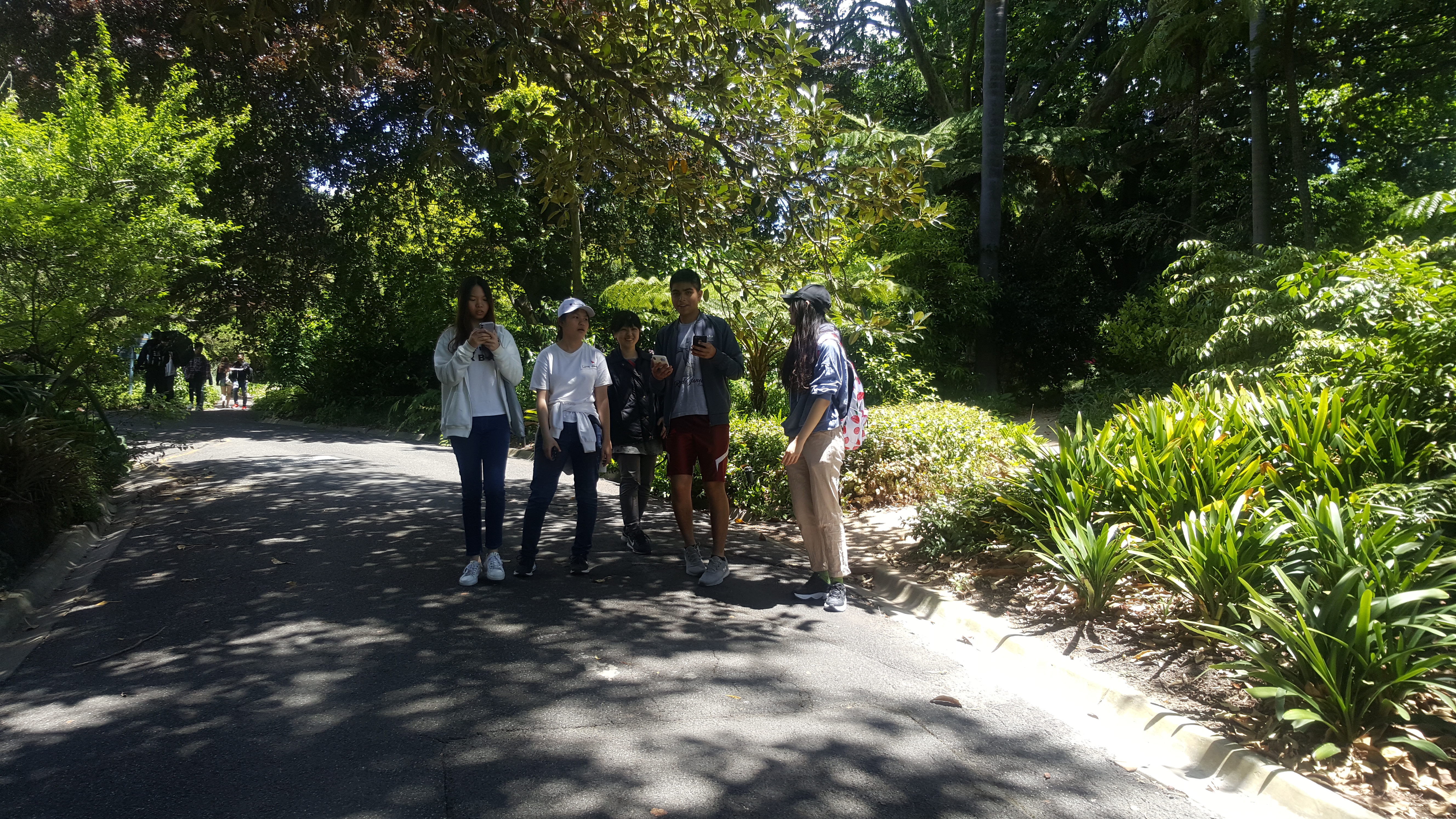 ELICOS Students Excursion to the Botanical Gardens