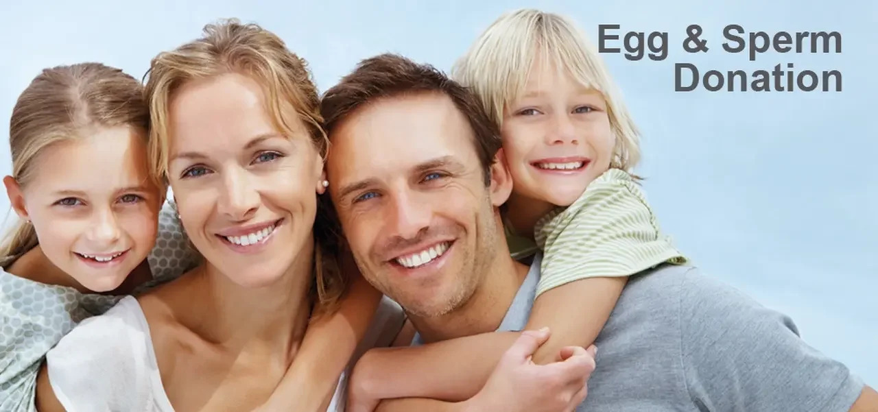 How to Donate Eggs in Australia: A Comprehensive Guide to the Egg Donation Process