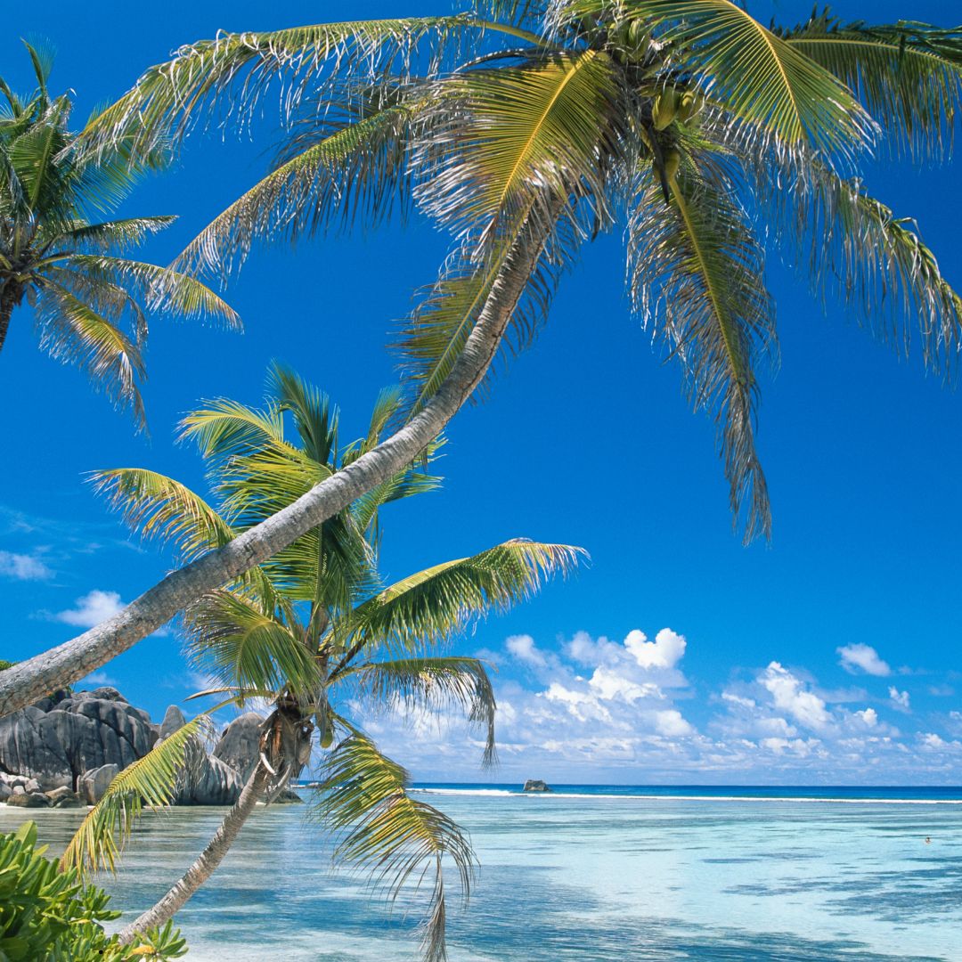 Affordable Vacation Rentals in West Palm Beach