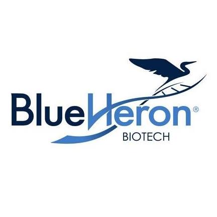 Unleashing the Power of mRNA Synthesis Services