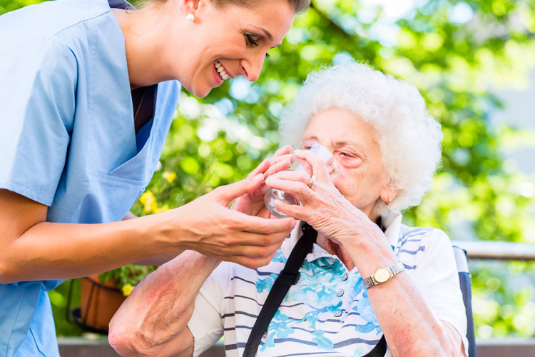 Global Services For the Elderly And Persons with Disabilities Market Report 2024: Market Size, CAGR, Lucrative Segments And Top Regions