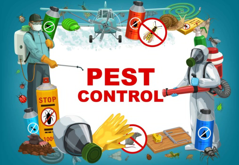 Exterminator Near Me: Finding the Best Pest Control Services in Your Area