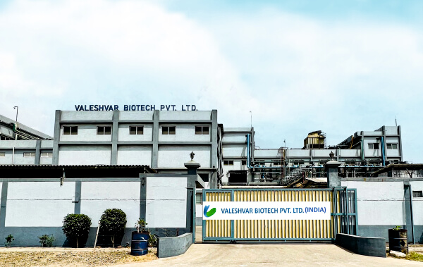 Valeshvar Biotech as a Pharmaceutical Intermediates Manufacturer in Asia
