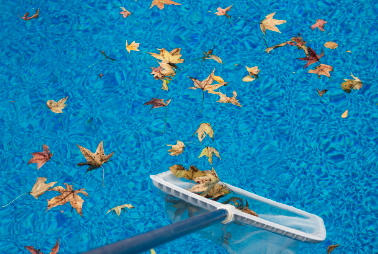 Top Reasons to Hire a Swimming Pool Cleaning Company in Dubai