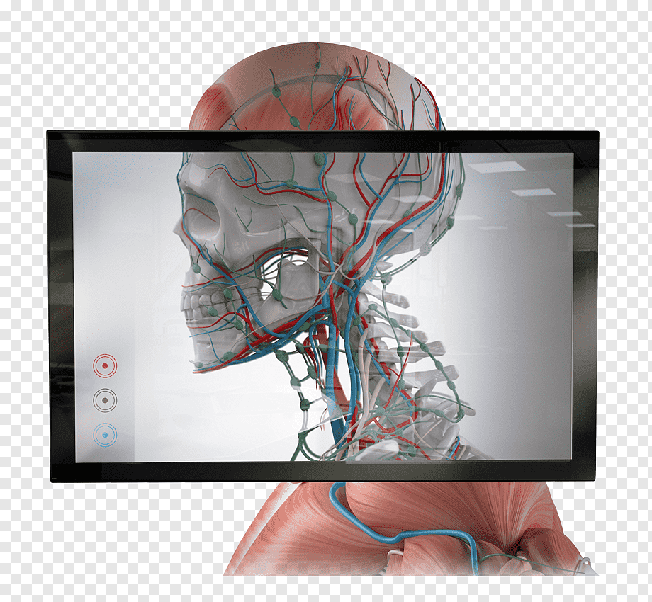 Vision Pro App Development for AR VR XR: Solving Immersive Tech Challenges in 2025