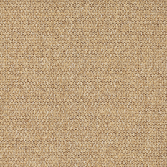 Sisal Carpet 101: A Comprehensive Overview for Homeowners