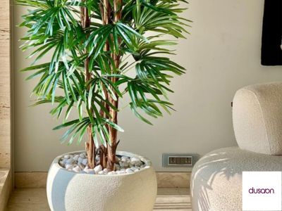 Buy High Quality artificial plants online In India | Dusaan