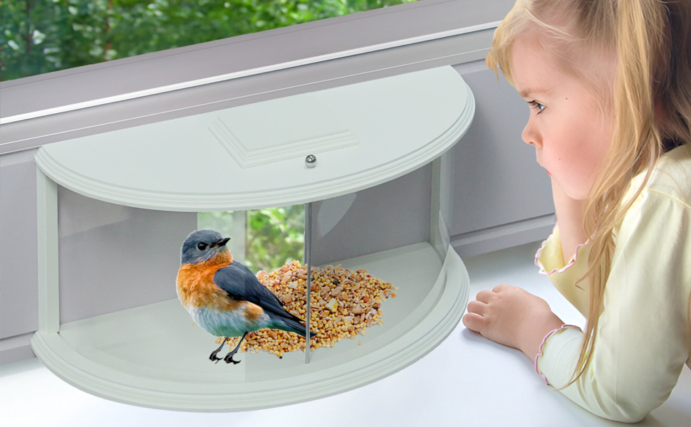 Discover Your Feathered Friends' Favorite Dining Spot