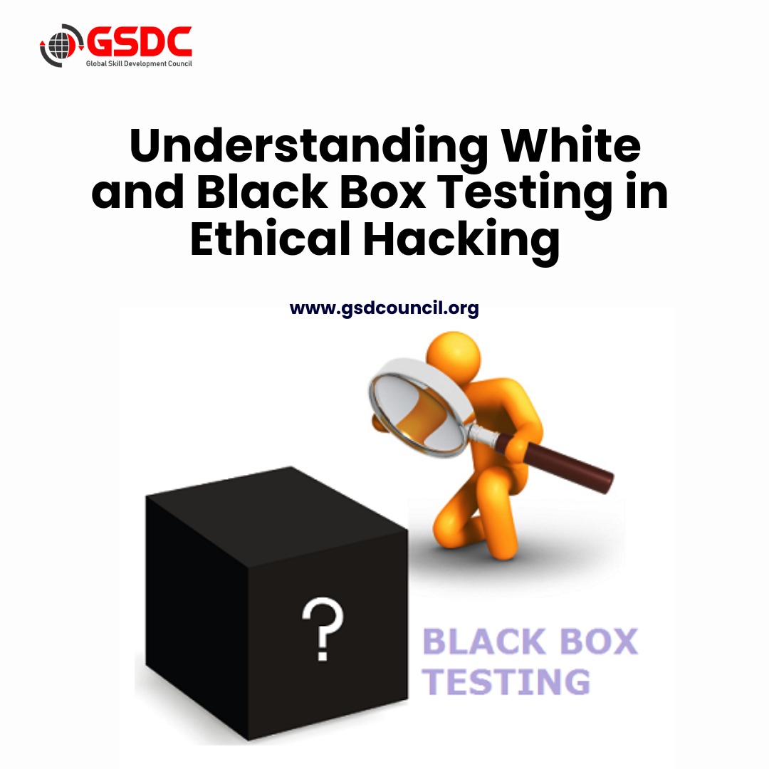 Understanding White and Black Box Testing in Ethical Hacking certification