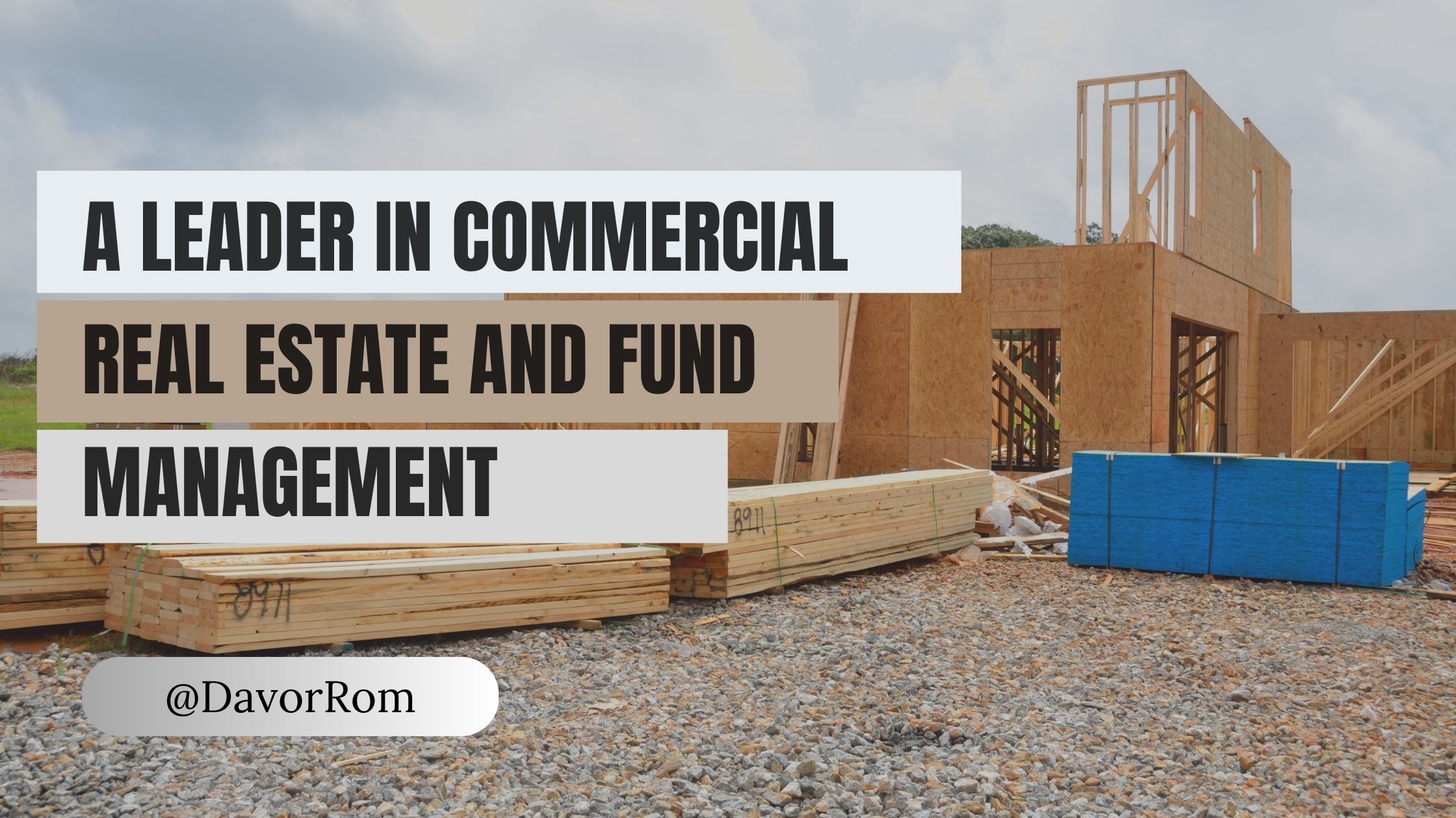 Davor Rom: A Leader in Commercial Real Estate and Fund Management