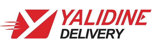 Efficient Delivery Service: A Closer Look