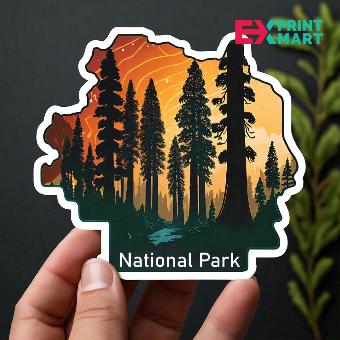 What Makes Custom Stickers So Popular in Dubai? Discover the Trend!